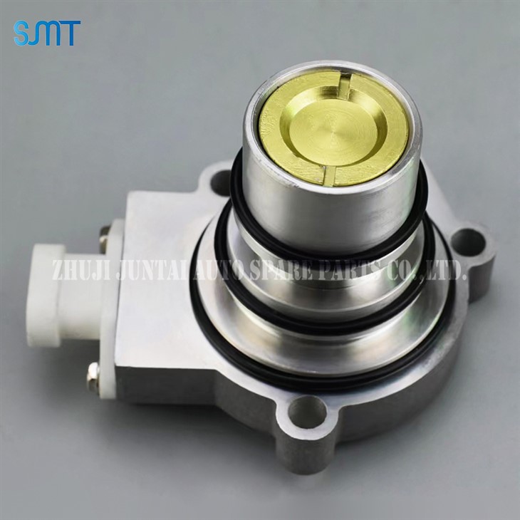 5004341X purge valve